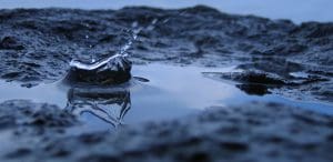 DRF Closeup puddle drop